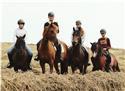 Veranstaltungsbild Ein Vormittag bei der Reitschule "Pferdagogik" 1